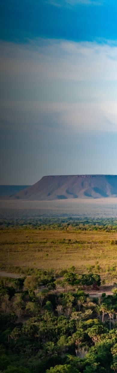 Description of Image